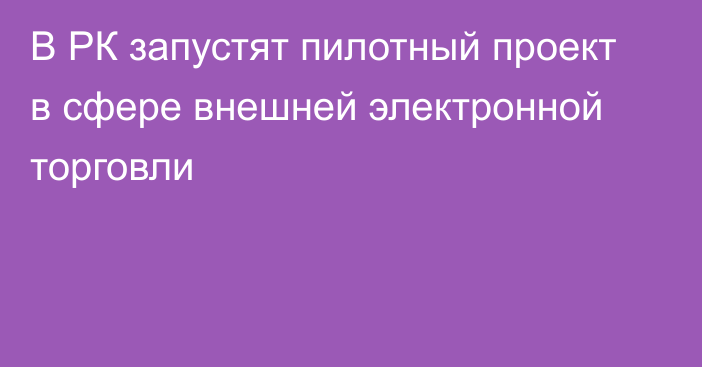 В РК запустят пилотный проект в сфере внешней электронной торговли