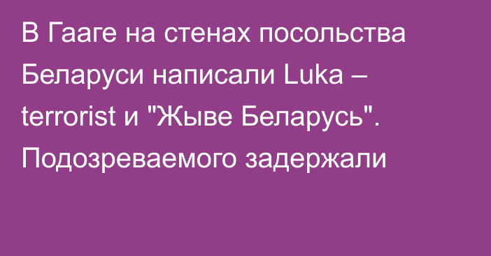 В Гааге на стенах посольства Беларуси написали Luka – terrorist и 