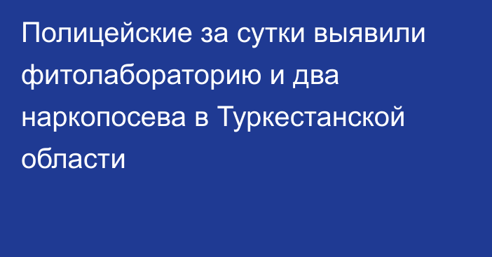 Полицейские за сутки выявили фитолабораторию и два наркопосева в Туркестанской области