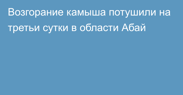 Возгорание камыша потушили на третьи сутки в области Абай