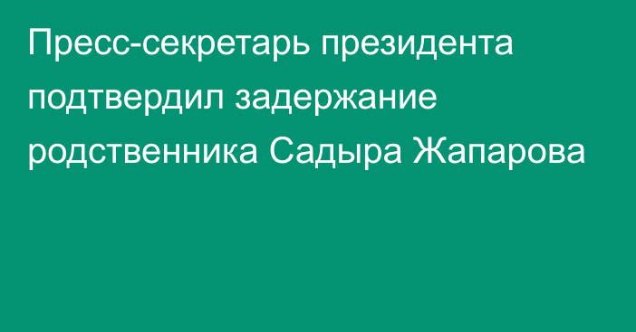 Пресс-секретарь президента подтвердил задержание родственника Садыра Жапарова