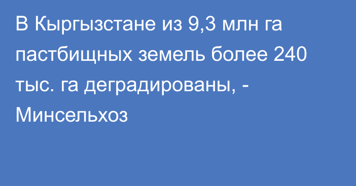 В Кыргызстане из 9,3 млн га пастбищных земель более 240 тыс. га деградированы, - Минсельхоз