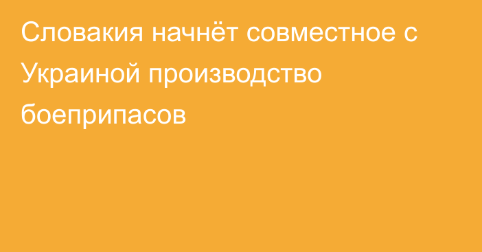 Словакия начнёт совместное с Украиной производство боеприпасов