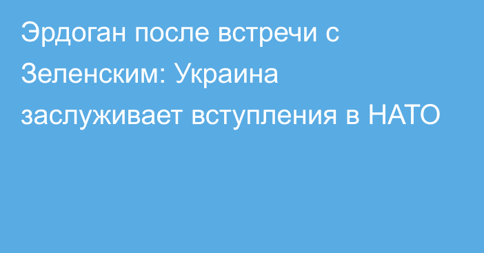 Эрдоган после встречи с Зеленским: Украина заслуживает вступления в НАТО