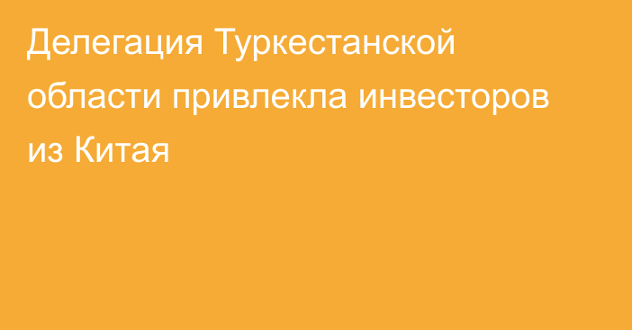 Делегация Туркестанской области привлекла инвесторов из Китая