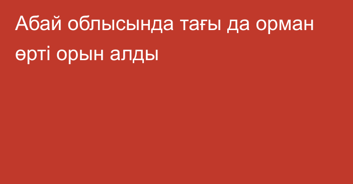 Абай облысында тағы да орман өрті орын алды