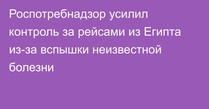 Роспотребнадзор усилил контроль за рейсами из Египта из-за вспышки неизвестной болезни