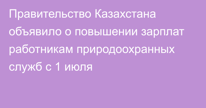 Правительство Казахстана объявило о повышении зарплат работникам природоохранных служб с 1 июля