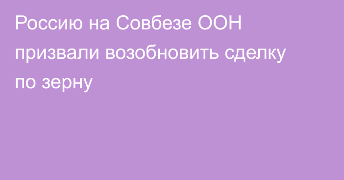 Россию на Совбезе ООН призвали возобновить сделку по зерну