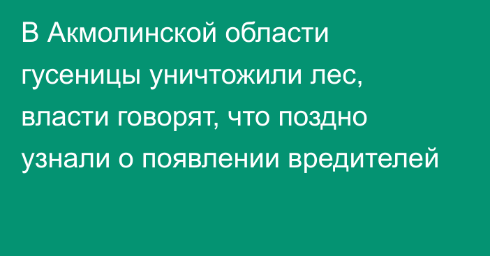 В Акмолинской области гусеницы уничтожили лес, власти говорят, что поздно узнали о появлении вредителей