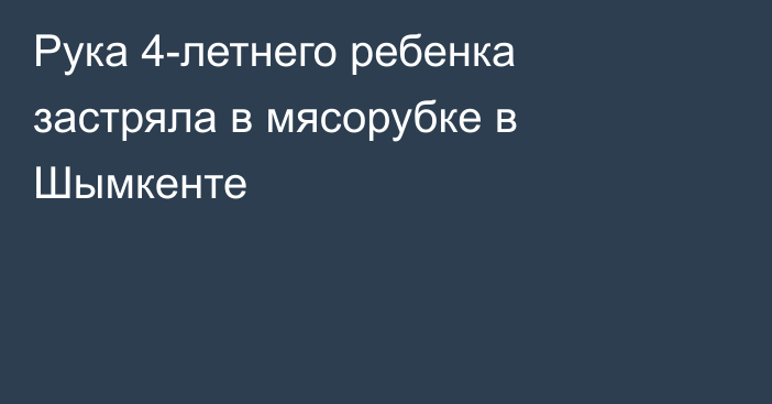 Рука 4-летнего ребенка застряла в мясорубке в Шымкенте