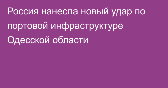 Россия нанесла новый удар по портовой инфраструктуре Одесской области