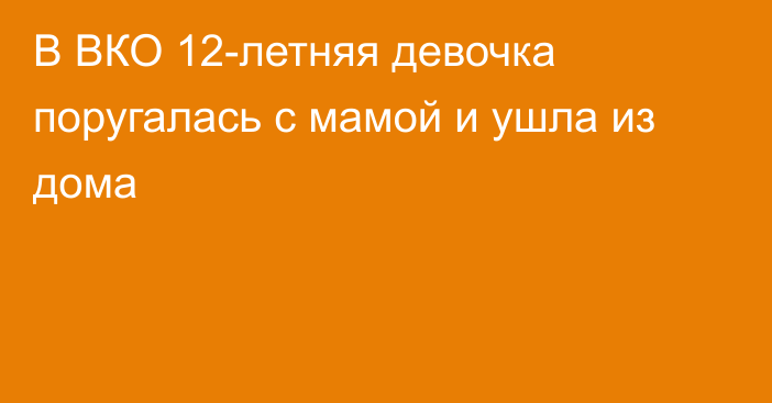 В ВКО 12-летняя девочка поругалась с мамой и ушла из дома