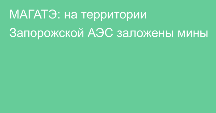 МАГАТЭ: на территории Запорожской АЭС заложены мины