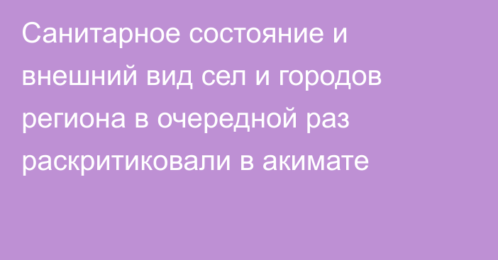 Санитарное состояние и внешний вид сел и городов региона в очередной раз раскритиковали в акимате