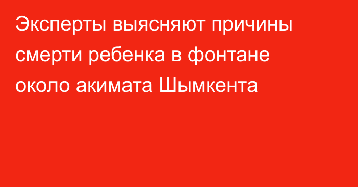 Эксперты выясняют причины смерти ребенка в фонтане около акимата Шымкента