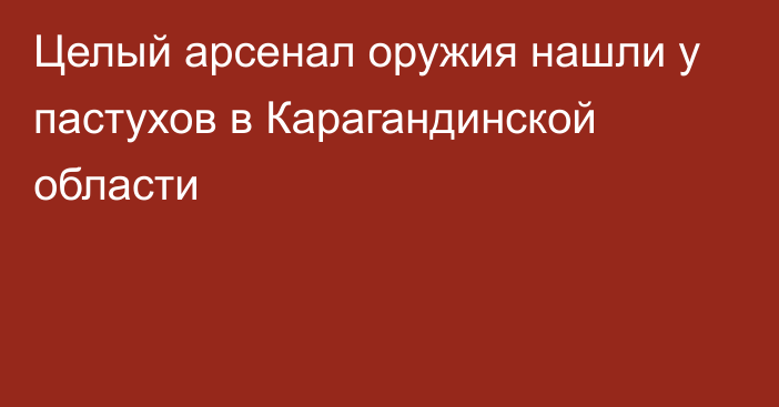 Целый арсенал оружия нашли у пастухов в Карагандинской области