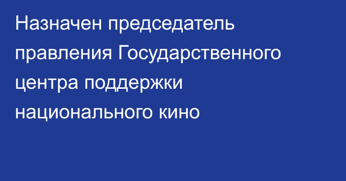 Назначен председатель правления Государственного центра поддержки национального кино