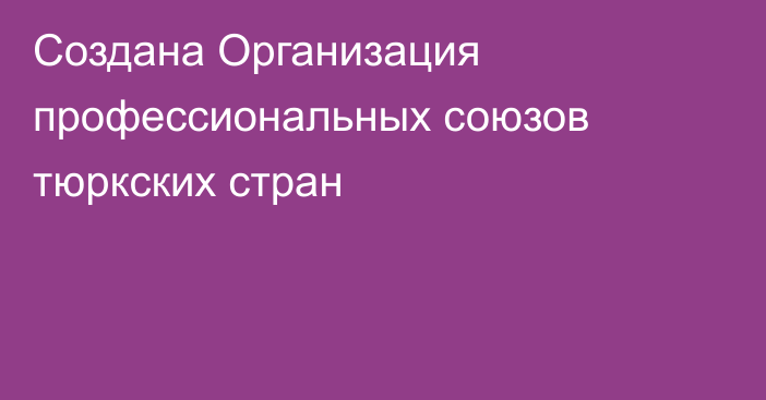 Создана Организация профессиональных союзов тюркских стран