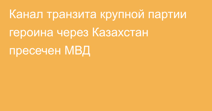 Канал транзита крупной партии героина через Казахстан пресечен МВД