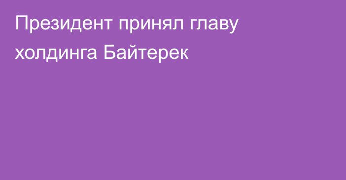 Президент принял главу холдинга Байтерек