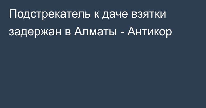 Подстрекатель к даче взятки задержан в Алматы -   Антикор