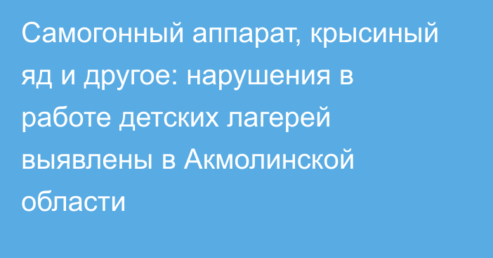 Самогонный аппарат, крысиный яд и другое: нарушения в работе детских лагерей выявлены в Акмолинской области