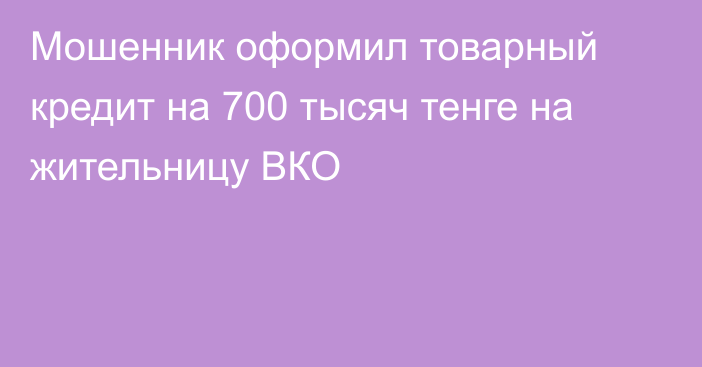 Мошенник оформил товарный кредит на 700 тысяч тенге на жительницу ВКО