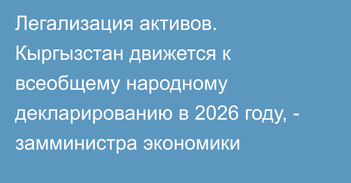 Легализация активов. Кыргызстан движется к всеобщему народному декларированию в 2026 году, - замминистра экономики