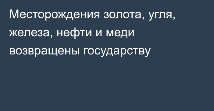 Месторождения золота, угля, железа, нефти и меди возвращены государству