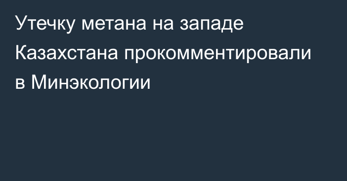 Утечку метана на западе Казахстана прокомментировали в Минэкологии