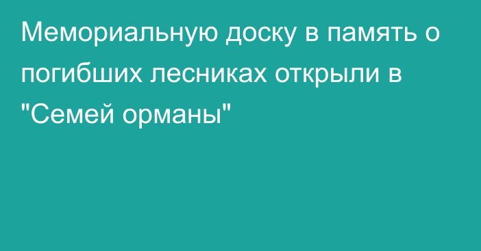 Мемориальную доску в память о погибших лесниках открыли в 