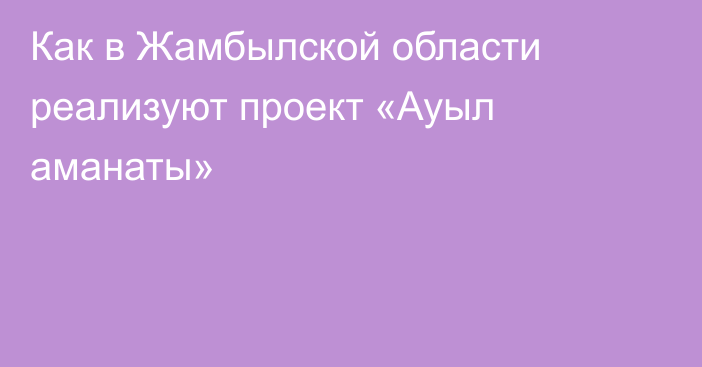 Как в Жамбылской области реализуют проект «Ауыл аманаты»