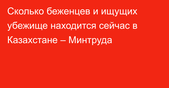 Сколько беженцев и ищущих убежище находится сейчас в Казахстане – Минтруда