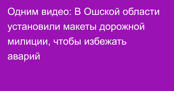 Одним видео: В Ошской области установили макеты дорожной милиции, чтобы избежать аварий