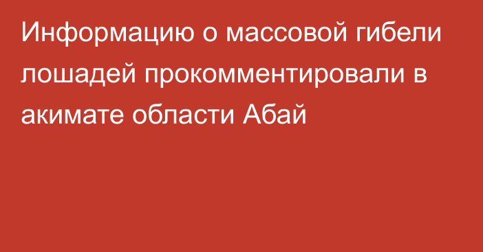 Информацию о массовой гибели лошадей прокомментировали в акимате области Абай