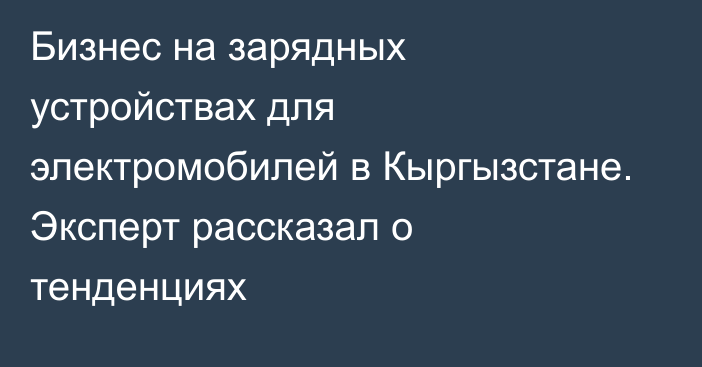 Бизнес на зарядных устройствах для электромобилей в Кыргызстане. Эксперт рассказал о тенденциях