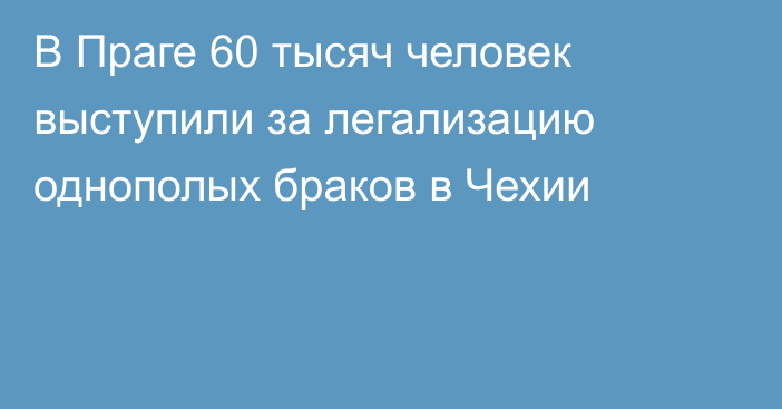 В Праге 60 тысяч человек выступили за легализацию однополых браков в Чехии