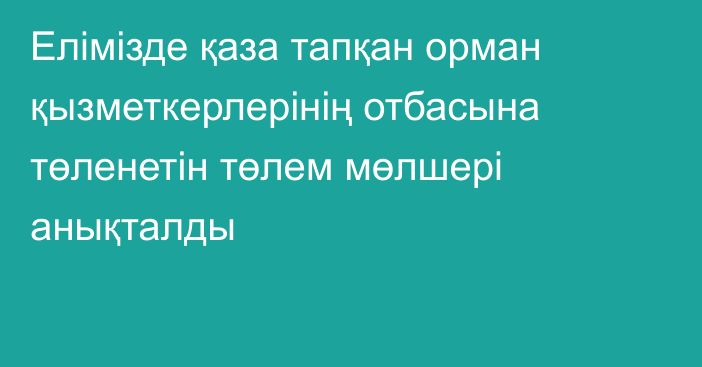 Елімізде қаза тапқан орман қызметкерлерінің отбасына төленетін төлем мөлшері анықталды