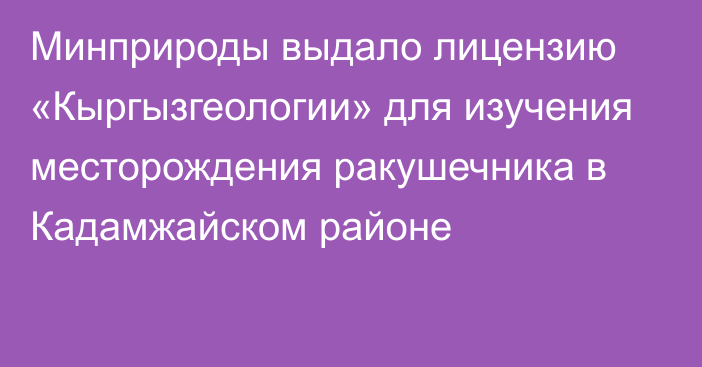 Минприроды выдало лицензию «Кыргызгеологии» для изучения месторождения ракушечника в Кадамжайском районе