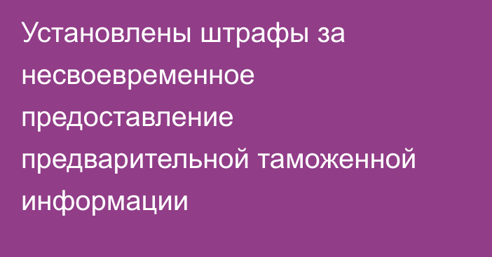 Установлены штрафы за несвоевременное предоставление предварительной таможенной информации