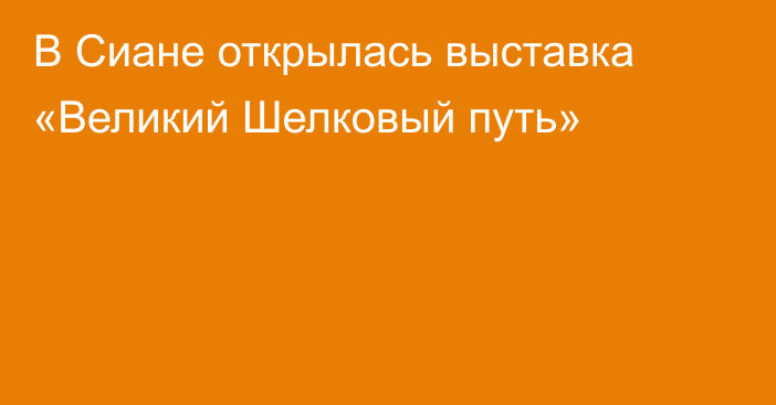 В Сиане открылась выставка «Великий Шелковый путь»