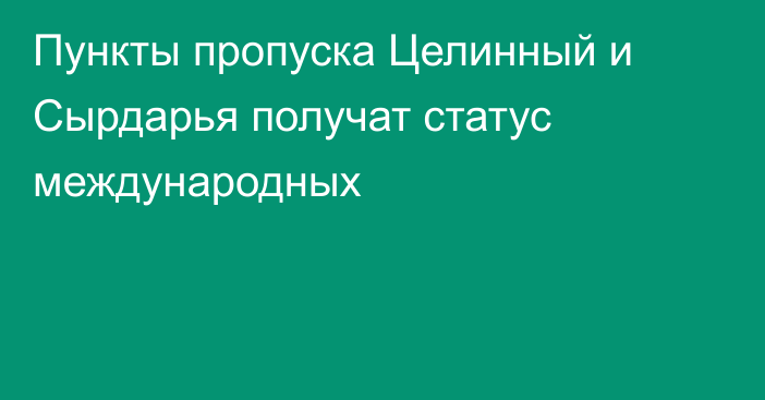 Пункты пропуска Целинный и Сырдарья получат статус международных