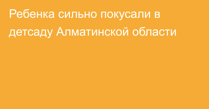 Ребенка сильно покусали в детсаду Алматинской области