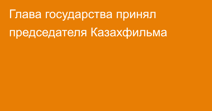 Глава государства принял председателя Казахфильма