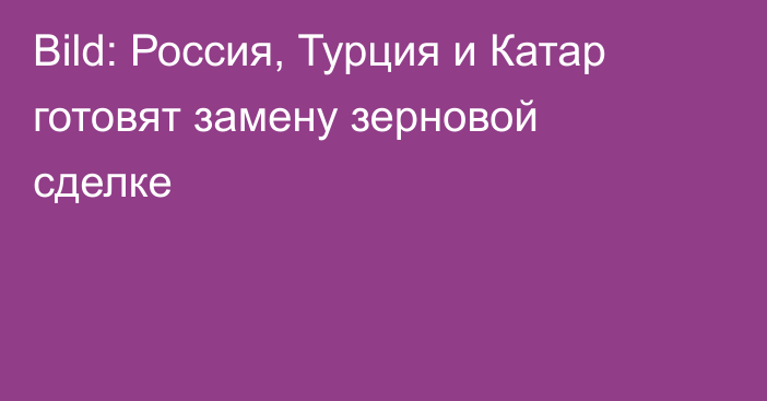 Bild: Россия, Турция и Катар готовят замену зерновой сделке