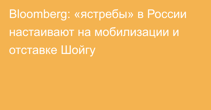 Bloomberg: «ястребы» в России настаивают на мобилизации и отставке Шойгу