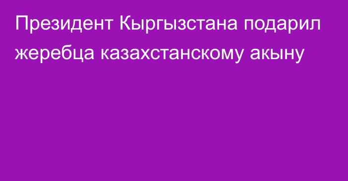 Президент Кыргызстана подарил жеребца казахстанскому акыну