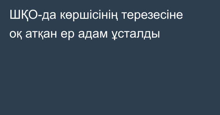 ШҚО-да көршісінің терезесіне оқ атқан ер адам ұсталды