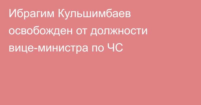 Ибрагим Кульшимбаев освобожден от должности вице-министра по ЧС